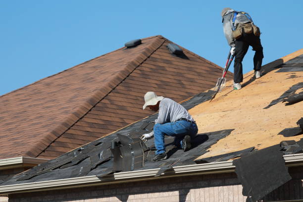 Best Asphalt Shingle Roofing  in Fort Oglethorpe, GA